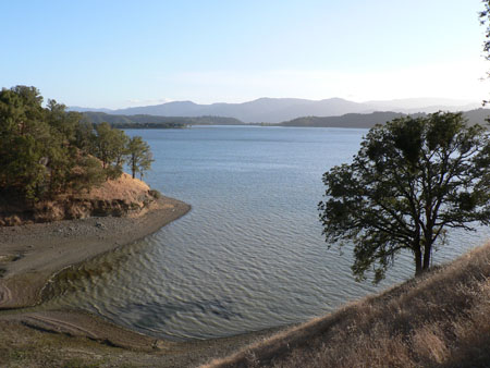 Lake view 