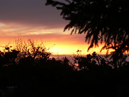 Sunset 