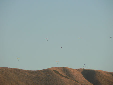 Hang Gliders 