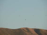 Hang Gliders 