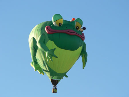 Frog 