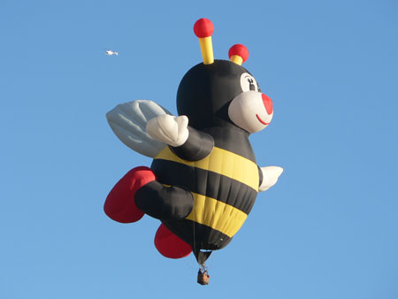 Miss Bee 