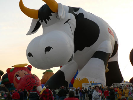 cow rising 