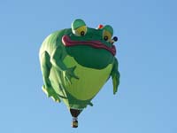 Frog 