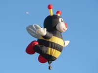 Miss Bee 