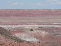 painted desert 4 