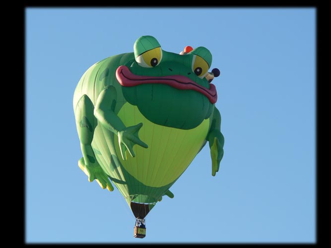 007-Frog