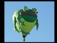 007-Frog