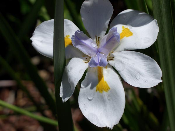 CIMG0649