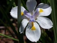 CIMG0649