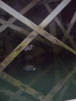 012-Heron